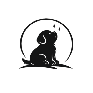 chatgpt image feb 26, 2026 at 02 49 19 pm